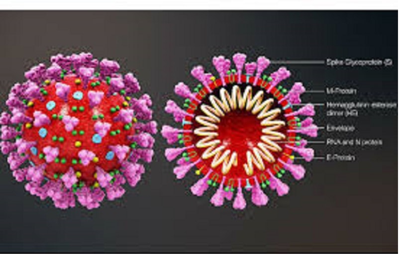 Tình hình dịch bệnh Covid-19 tại TP. Hồ Chí Minh ngày 16/4/2020