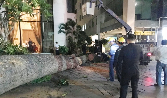 Tăng cường thực hiện các biện pháp phòng, chống, ứng phó với mưa giông, lốc xoáy