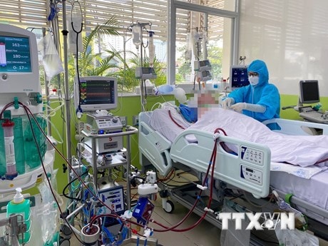 Bệnh nhân 91 bắt đầu được ngưng thuốc giãn cơ, có tín hiệu tỉnh
