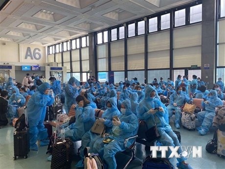 Đưa hơn 300 công dân Việt bay từ Thụy Điển và Phần Lan về nước