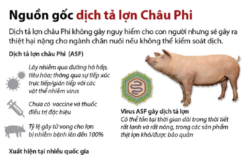 Tuyên truyền phòng, chống bệnh Dịch tả lợn Châu Phi trên hệ thống thông tin cơ sở