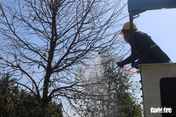 Phun thuốc sinh học 'cứu' cây xanh tại TP.HCM bị sâu ăn lá tấn công