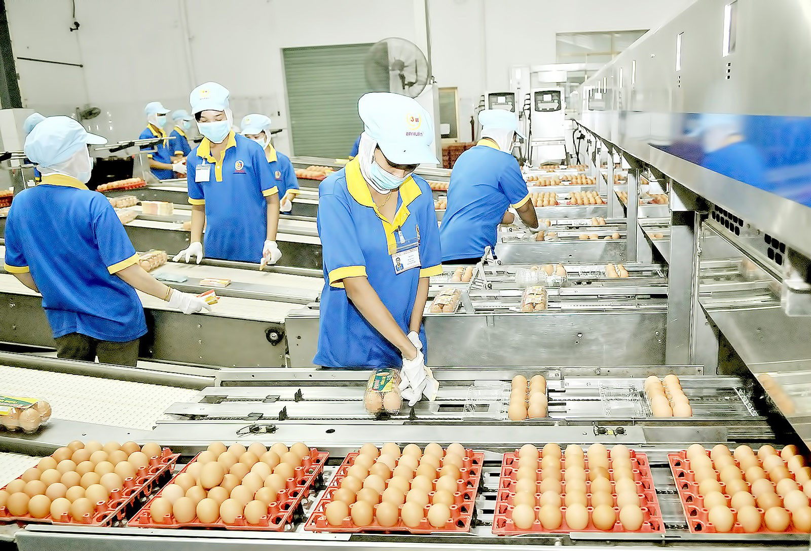 Khơi thông nội lực cứu doanh nghiệp