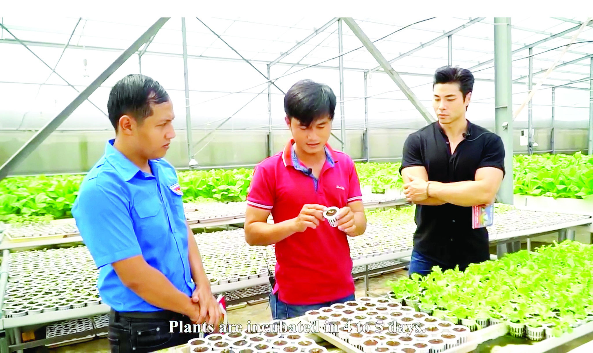 Để tin tốt ngày càng lan tỏa