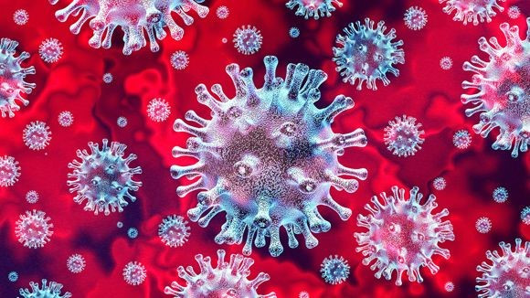 Nhập cảnh trái phép: Nếu chưa bị phát hiện hãy can đảm ra khai báo y tế