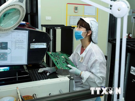 TP.HCM: Ngành điện tử và công nghệ thông tin cần nguồn nhân lực lớn