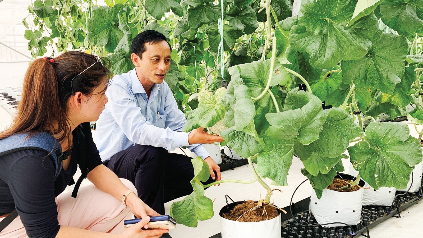 TPHCM: Xử lý nhiều điểm nóng môi trường và đất đai