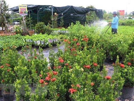 Du lịch Tết Tân Sửu: Nhiều điểm đến ở Nam Bộ hấp dẫn du khách