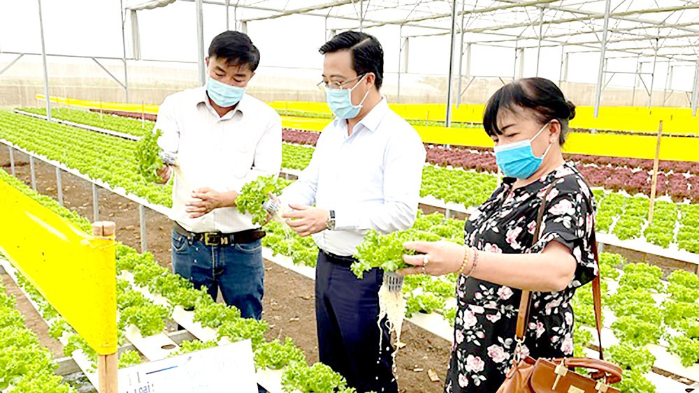 TPHCM - Lâm Đồng liên kết chuẩn bị rau, hoa cung ứng tết