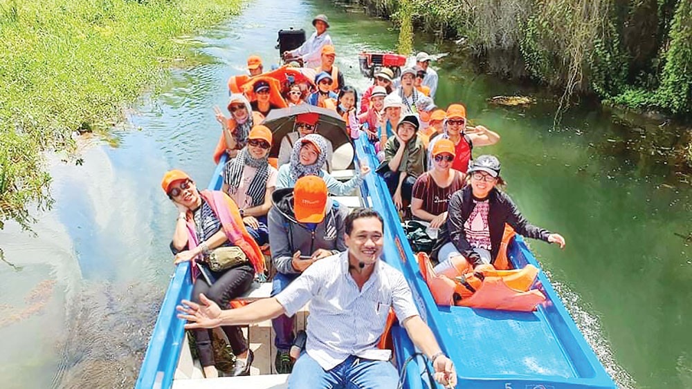 Chắt chiu hồi sinh