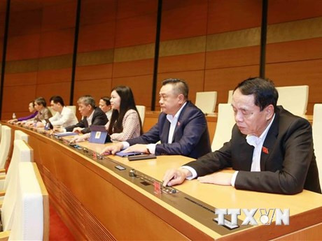 Thực hiện quy trình bầu Phó Chủ tịch nước, Ủy viên Ủy ban Thường vụ QH