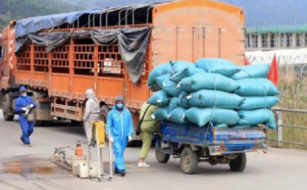 Khuyến cáo phòng chống dịch COVID-19 dành cho tài xế giao hàng và công ty vận chuyển giao hàng