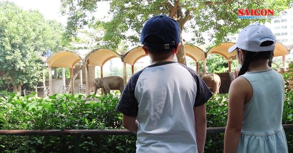 Thảo Cầm viên mở lại sau dịch, người dân rủ nhau mua vé tham quan