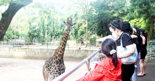 Ngày đầu tiên Thảo cầm viên Sài Gòn mở cửa trở lại: Hàng ngàn khách đến tham quan