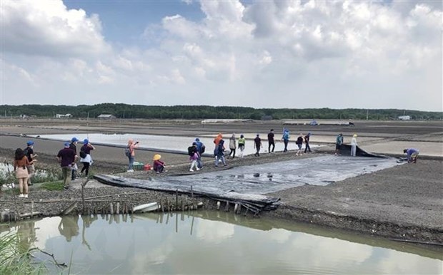 Du khách tham quan cánh đồng muối tại huyện Cần Giờ. (Ảnh: Mỹ Phương/TTXVN)