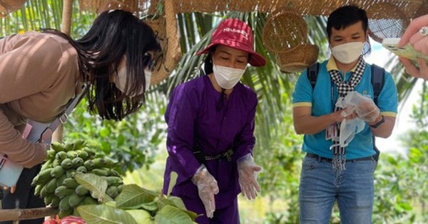 Du lịch khuyến mãi sâu, bảo hiểm Covid-19