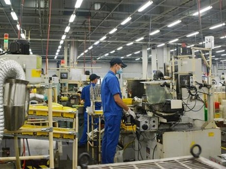 Công nhân làm việc tại Khu Công nghiệp Linh Trung 1. (Ảnh: Hồng Pha/TTXVN phát.)