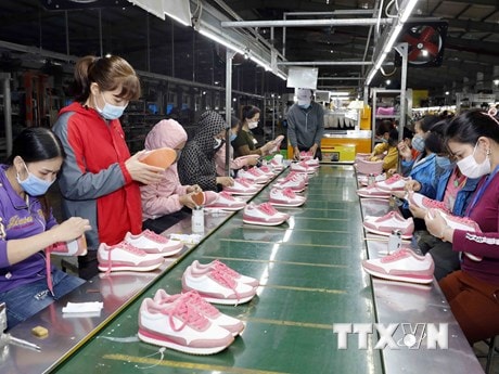 Nhiều người lao động trở lại làm và tìm công việc