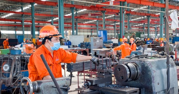 Hơn 2,3 triệu người lao động ở TPHCM đã nhận hỗ trợ hơn 5.508 tỷ đồng từ Quỹ Bảo hiểm thất nghiệp