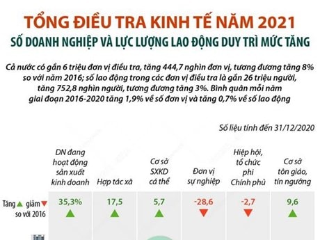 Số doanh nghiệp và lực lượng lao động duy trì mức tăng