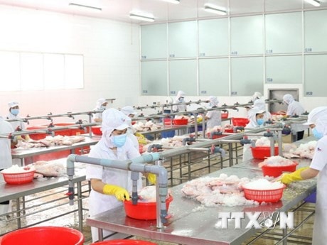 TP.HCM: Đa dạng hoạt động chăm lo Tết Nhâm Dần cho người lao động