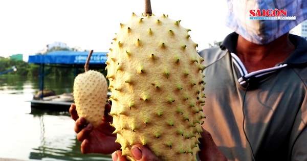 Tấp nập sắm trái cây chưng tết, hối hả dịch vụ đánh bóng lư đồng