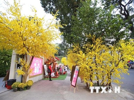 Địa phương không được tự đặt ra yêu cầu chống dịch trái với quy định