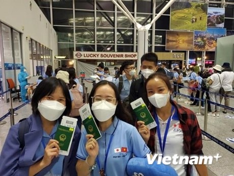 Lao động đi làm việc ở nước ngoài năm 2022: Nhiều tín hiệu khởi sắc