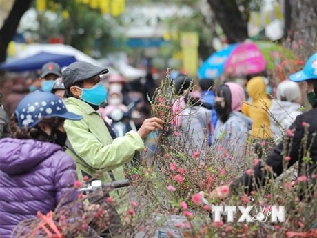 Chủ tịch nước Nguyễn Xuân Phúc chúc Tết Nguyên đán Nhâm Dần 2022