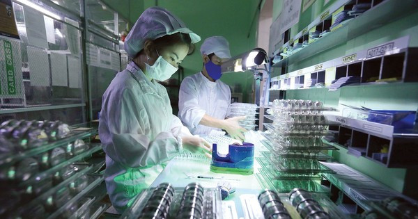 Vốn ngoại vẫn tìm đến