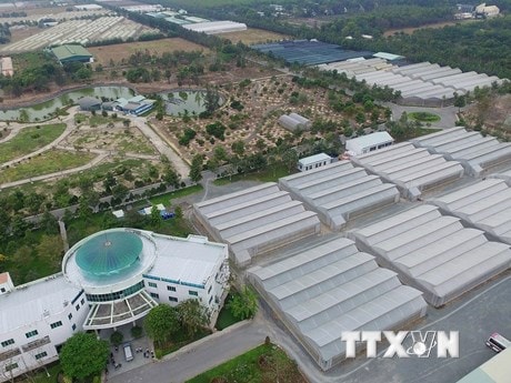 Chuẩn bị tốt nhất cho Hội nghị Xúc tiến đầu tư vào Hóc Môn và Củ Chi