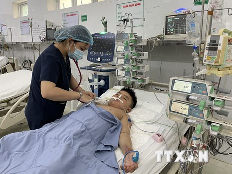 TP Hồ Chí Minh: Chủ động các biện pháp phòng ngừa bệnh sốt xuất huyết