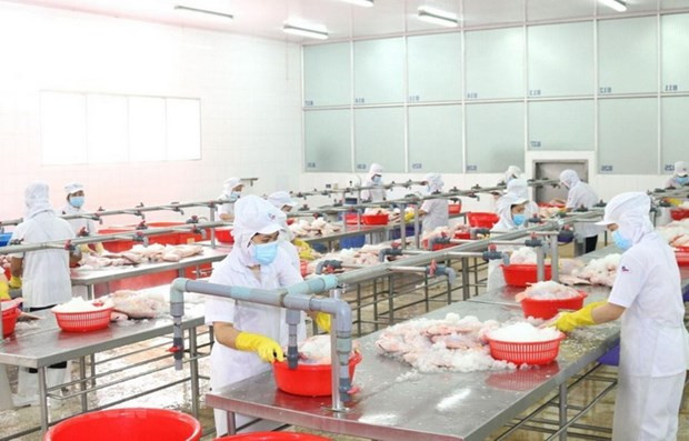 Chế biến thủy sản của Công ty Cổ phần Kinh doanh Thủy hải sản Sài Gòn. (Ảnh: Xuân Anh/TTXVN)