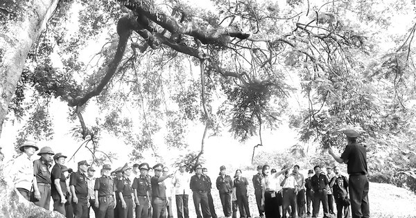 Kỷ niệm 68 năm Chiến thắng Điện Biên Phủ (7-5-1954 - 7-5-2022): Tự hào tiếp bước