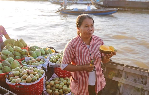 Ảnh minh họa. (Nguồn: Vietnam+)