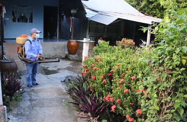 Lực lượng y tế phun thuốc khử trùng, diện lăng quăng, bọ gậy để phòng bệnh sốt xuất huyết. (Ảnh: Công Mạo/TTXVN)