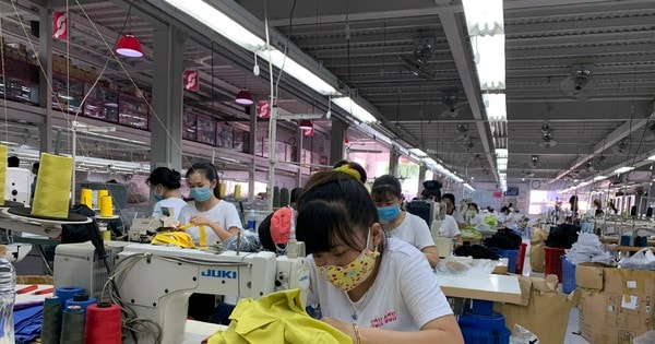 TPHCM bổ sung hơn hơn 1.244 tỷ đồng hỗ trợ tiền thuê nhà cho người lao động