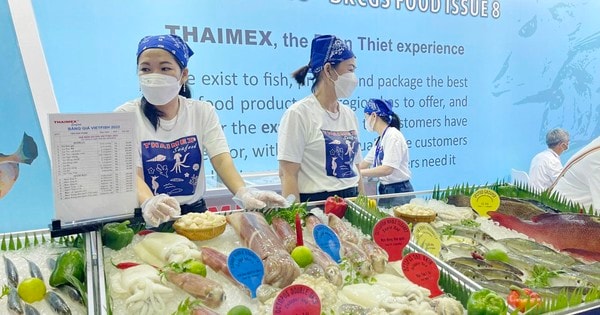 170 đơn vị đến từ 15 quốc gia tham gia hội chợ Vietfish 2022 tại TPHCM