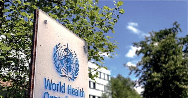 WHO hỗ trợ TPHCM về chăm sóc bệnh không lây nhiễm