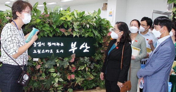 TPHCM trao đổi kinh nghiệm phát triển nông nghiệp công nghệ cao tại Hàn Quốc