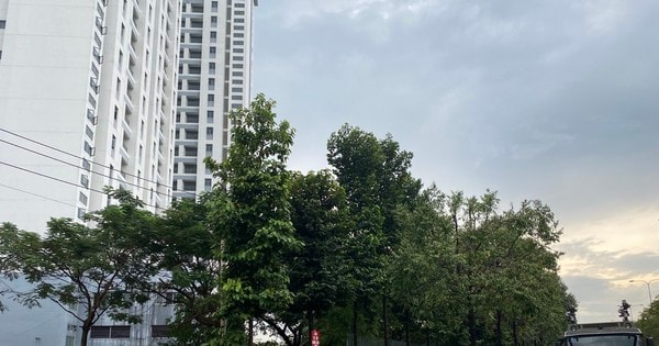 Công an TPHCM bác bỏ thông tin đăng tải sai, xuyên tạc về diễn tập