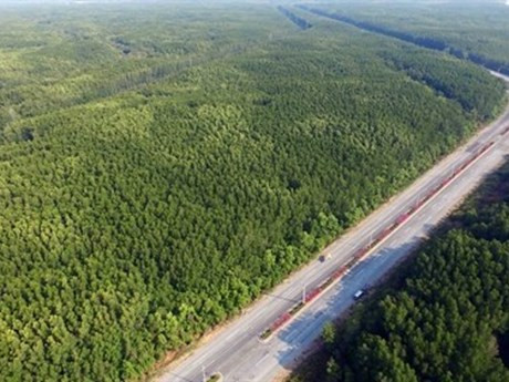 TPHCM: Phát triển huyện Cần Giờ trở thành thành phố du lịch sinh thái