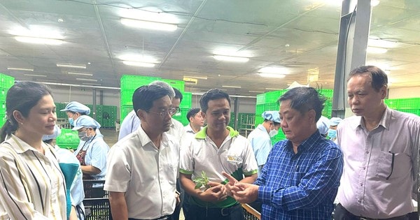 Đảm bảo chất lượng, an toàn thực phẩm: Bổ sung quy chuẩn, chế tài