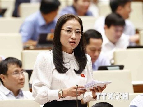 Kỳ họp thứ 4, Quốc hội khóa XV: Chất vấn trong lĩnh vực thanh tra