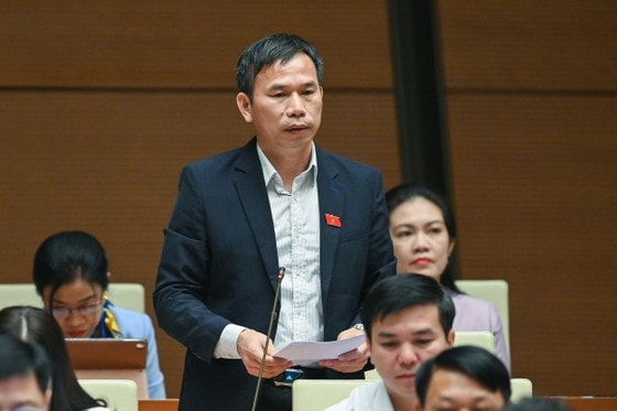 ĐB Đồng Ngọc Ba (Bình Định). Ảnh: VIẾT CHUNG