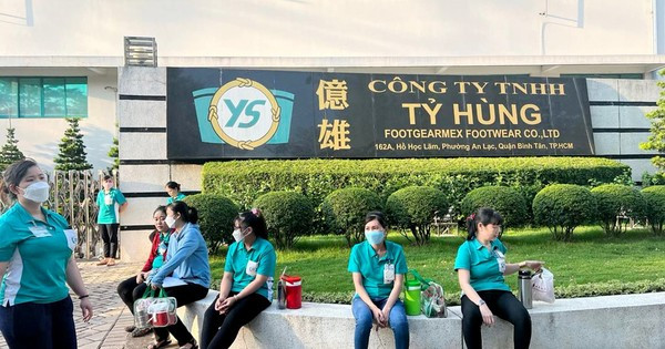 Thị trường lao động cuối năm: Tăng kết nối, ổn định việc làm