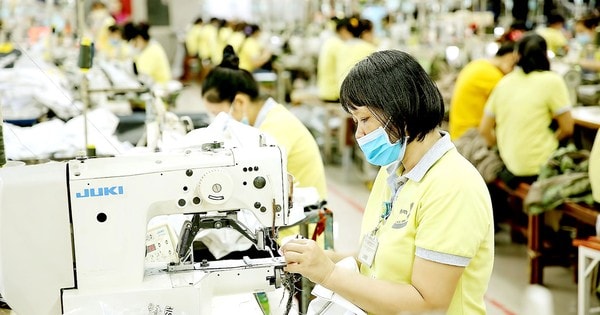 Rà soát tình hình sử dụng lao động ở TPHCM