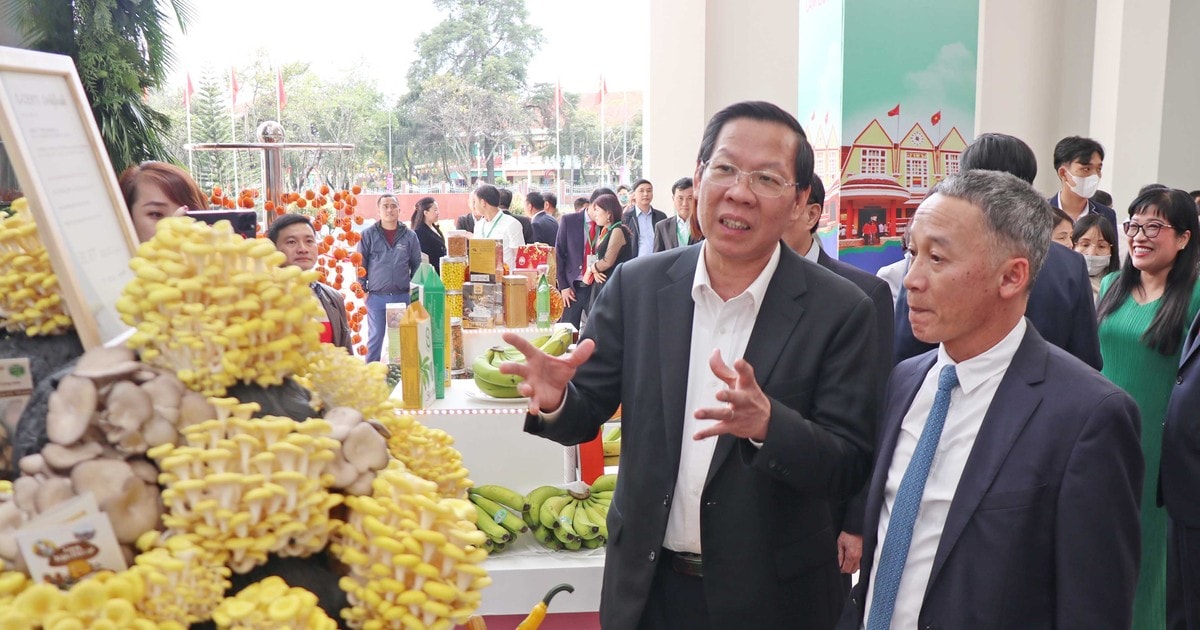 Hợp tác toàn diện TPHCM – Tây Nguyên