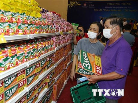 TP. HCM tổ chức hoạt động thiết thực chăm lo Tết cho các hộ khó khăn