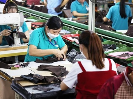 Doanh nghiệp ở TP Hồ Chí Minh linh hoạt "xoay" dòng tiền